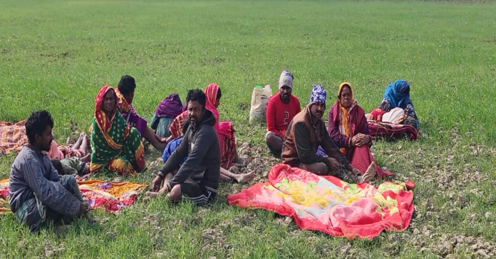 বিএসএফের পুশ ইন করা ১৪ ভারতীয়কে ফেরত পাঠাল বিজিবি